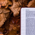 2020 Daily Devotion (March 30 – Dec 26)